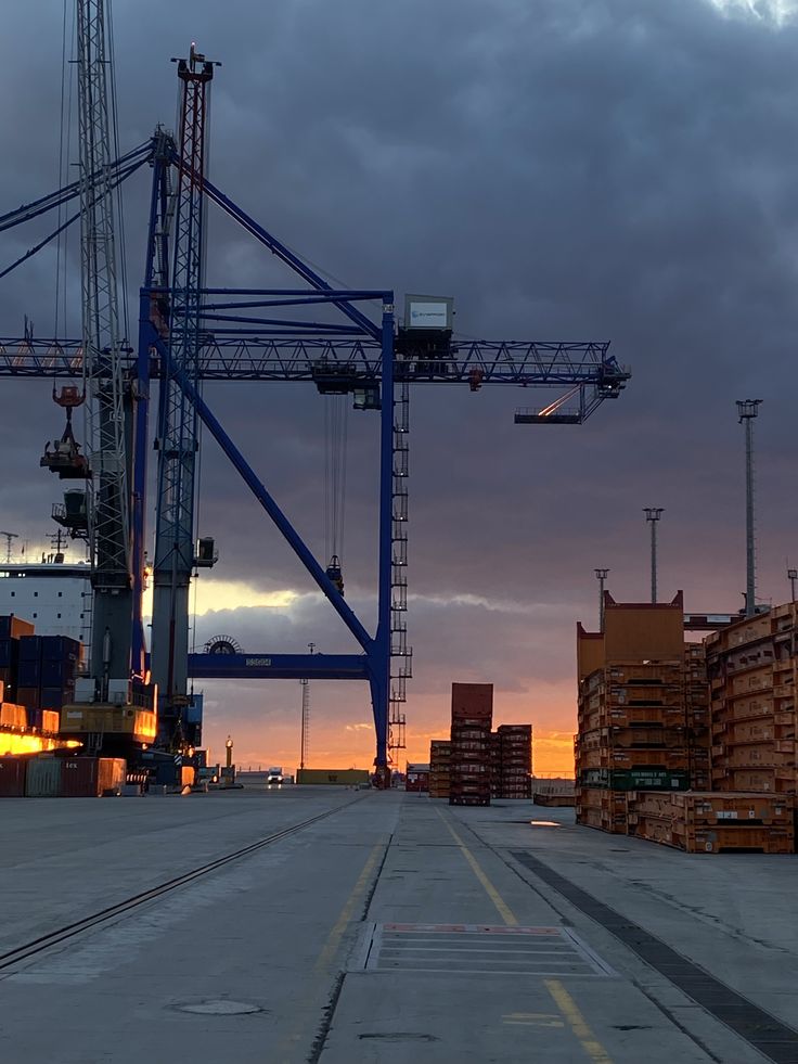Container Stuffing at Port